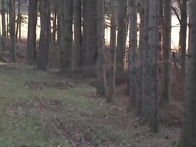 haha sudenly piggsies