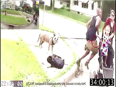 Minneapolis Cops Blow Away Shitbag With A Gun