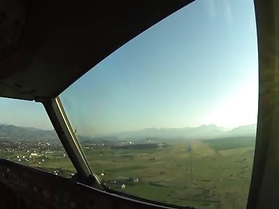 Airbus A320, Bird strike