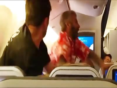 BRAWL AT ALL NIPPON AIRWAYS FLIGHT