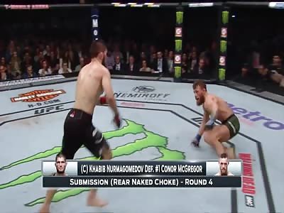 Khabib vs. McGregor Scenes and Mass Brawl