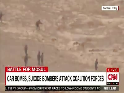 SUICIDE BOMBER DETONATES IN COMBAT