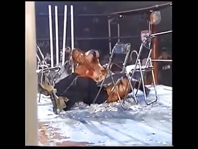 HARDCORE MOMENTS - CZW #2