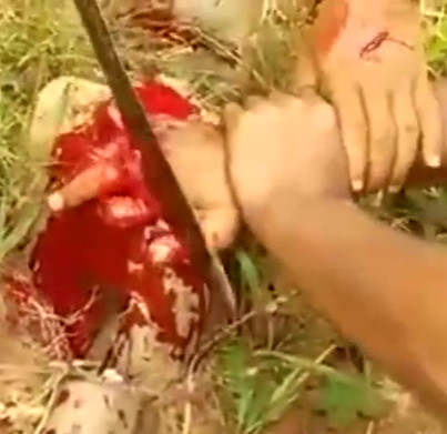 Brutality Compilation (Stars of theYNC)