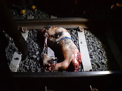 Suicidal man on the train lines