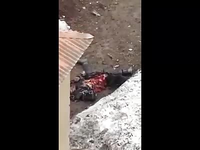 Member daesh dead eaten by a cat