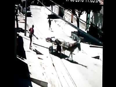 Man on a chariot executed by rider with headshots