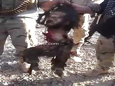 Member Daesh section titeres