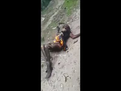 Thief Was Burned Alive (still burning in Agony)
