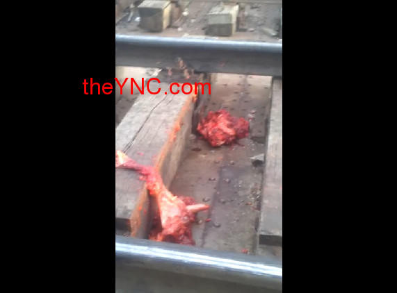 Body Parts Of A Man Who Committed Suicide On The Train Lines