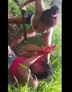 Bandits Hit a Woman With Sticks and Machetes