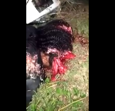 Young Motorcyclist Dead With His Skull Busted