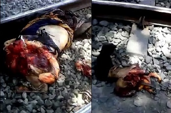 Looks Like an Alien Exploded This Guy From Inside Out