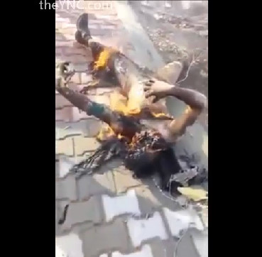 Another Dog Daesh Burned by the Syrian Army