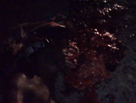  Brains and Entrails Scattered Very Delicious