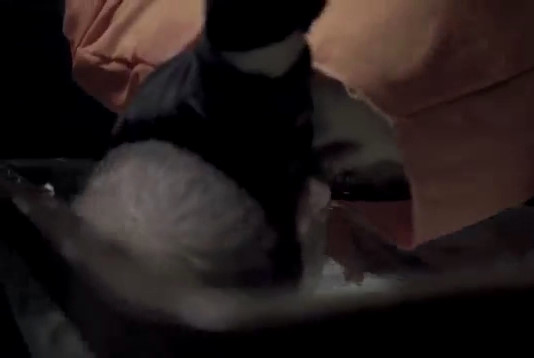 New ISIS Execution of Prisoner by Drowning Alive