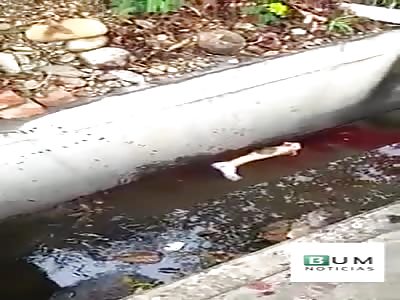 Accidente in Colombia