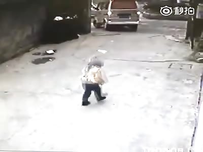 WTF VIDEO OF THE DAY