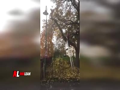 PRUNING TREES DID NOT GO ACCORDING TO PLAN