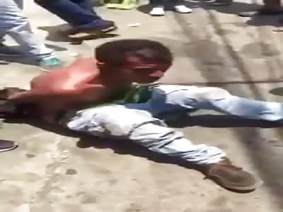 BANDIT BEING BEATEN BY BOISTEROUS BOYS BUNCH