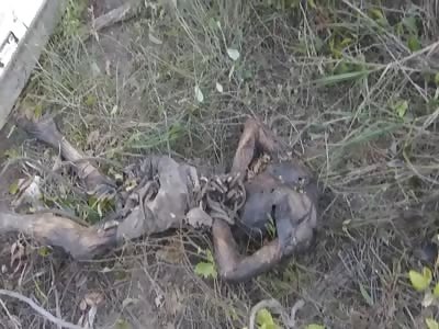 BODY OF MAN FOUND TIED AND WITHOUT HEAD