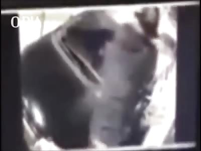 MAN EXECUTED IN FRONT OF WIFE AND SON