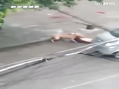 FEROCIOUS DOG ATTACKING PASSERSBY