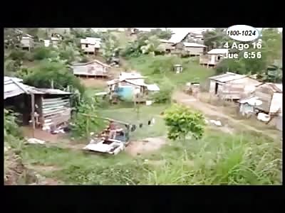 AN ELDERLY AND TWO DOGS WERE KILLED BY AFRICAN BEES