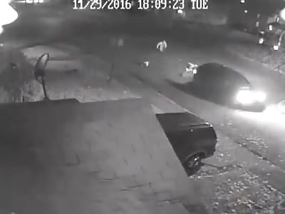 HIT AND RUN DRIVER STRIKE FAMILY AND PETS