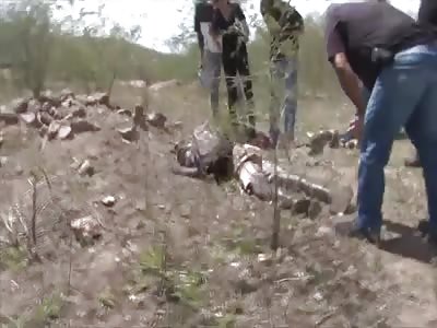 GARBAGE COLLECTOR FOUND DEAD - RIGOR MORTIS