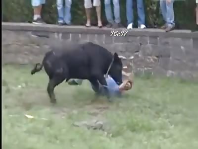 HAPPY NEW YEAR AND VIVA EL TORO