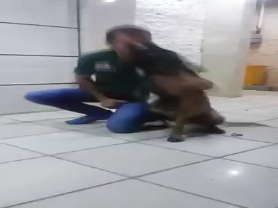 DOG BITES TRAINERÂ´S NOSE
