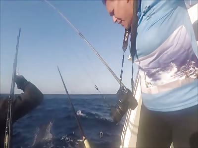 BLUE MARLIN OUTSMARTS FISHERMAN