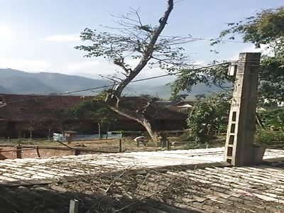 IDIOT CUTTING DOWN A TREE: WHAT COULD POSSIBLY GO WRONG?