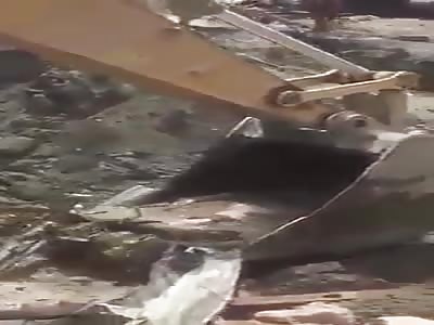 VICTIMS OF TSUNAMI - 2