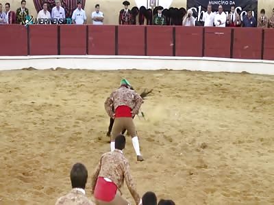 IDIOT BEING INJURED BY BULL