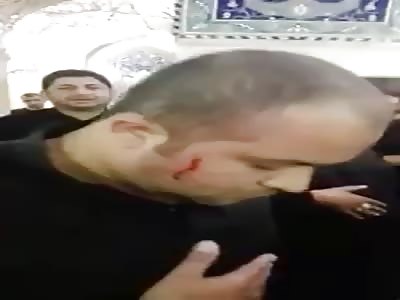 STUPIDITY AT ITS FINEST