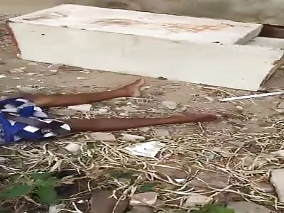 SHOT IN THE FACE AND BELLY UP