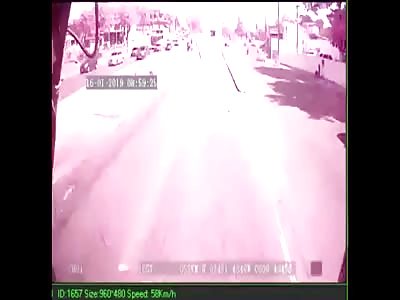 COMPLETE IDIOT DRIVER FIND DEATH