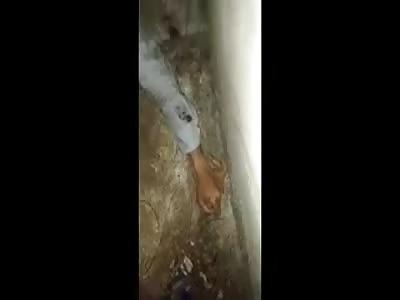 DEAD PEOPLE COLLECTION