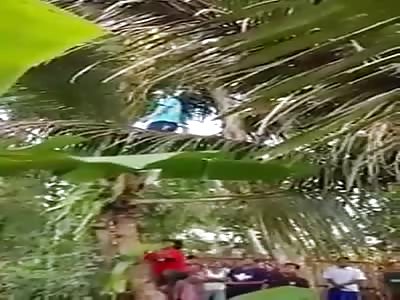 HANGED MAN IN A HIGH TREE