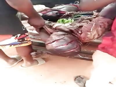 A VAN LOADED WITH DEAD PEOPLE