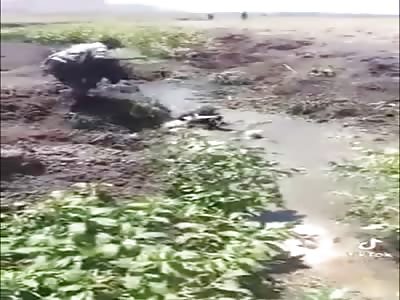 NICE DAY FOR A BEATING