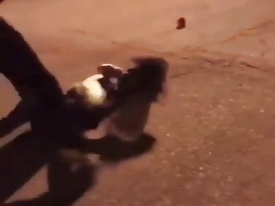 QUICK AND BRUTAL GIRLS FIGHT