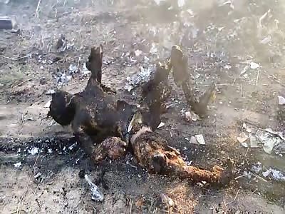 PLANE CRASH - ANOTHER ANGLE