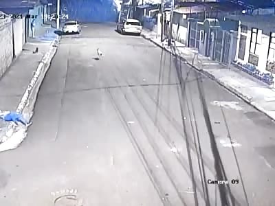 THE BEST FRIEND OF THE MAN