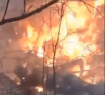 SMALL PLANE CRASHES IN THE JUNGLE