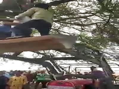 HE HANGED HIMSELF FROM THE HIGHEST BRANCH