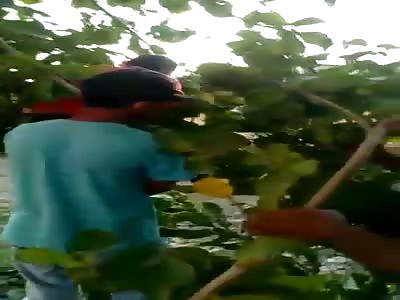 KID FALLS FROM A TREE, GETS IMPALED ON THE FENCE