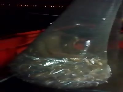 IF IT'S IN THE NET IT'S A FISH.